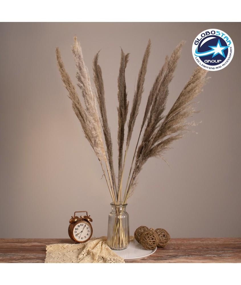 GloboStar® PAMPASGRASS 36512 Αποξηραμένο Φυτό Γρασίδι της Πάμπας - Μπουκέτο Διακοσμητικών Κλαδιών Καφέ - Γκρι Υ100cm - Σετ 10 τμχ